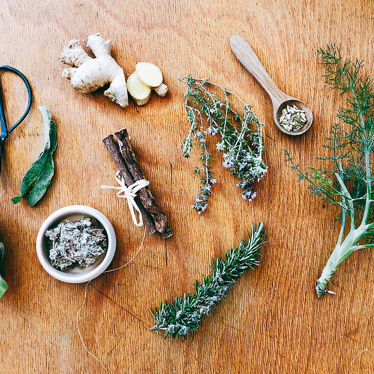 Recipes »The Power of Medicinal Plants Part 3«