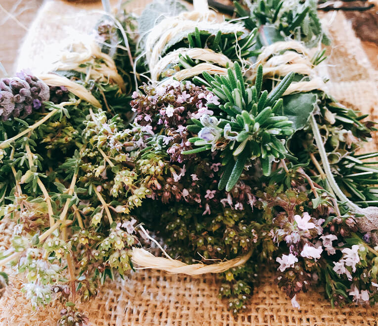 Herb Special Part 1 – All good things come from nature
