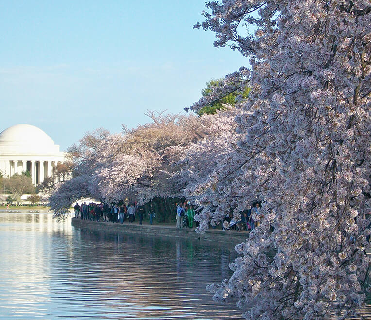 Stop(over) and smell flowers – The 7 most fantastic flower shows in the world
