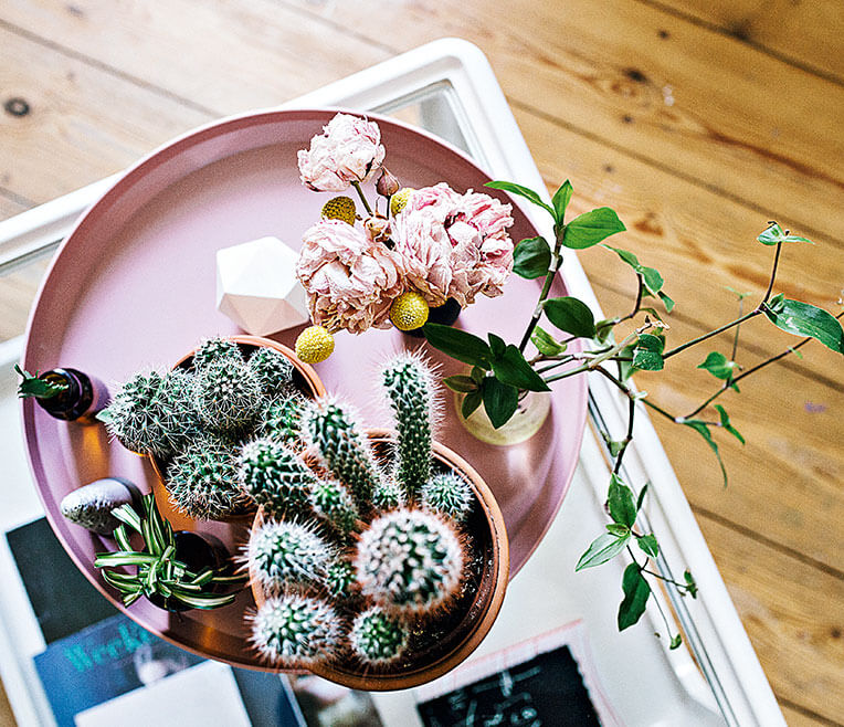 Buchvorstellung: »Best of Interior« von Callwey