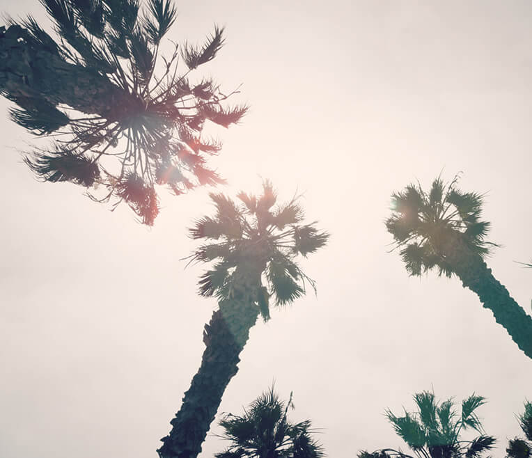 LA had its Moments