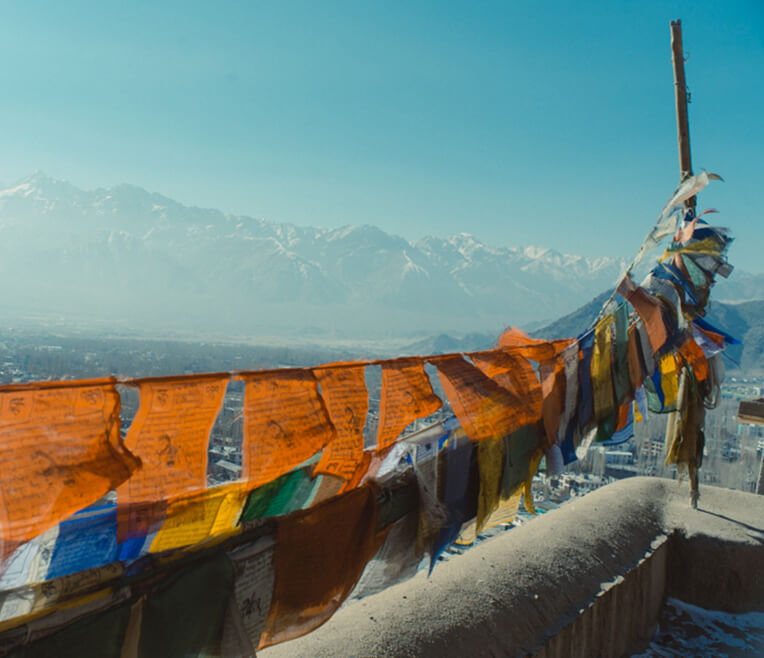 From love guru and the Dalai Lama: On tour in Northern India