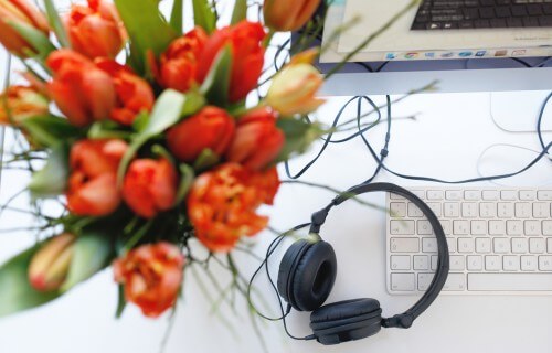 Unsere Spotify-Playlist für den Frühling