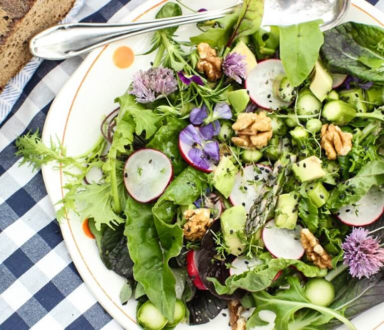 Picknick mit Alnatura – Vegan & Nachhaltig